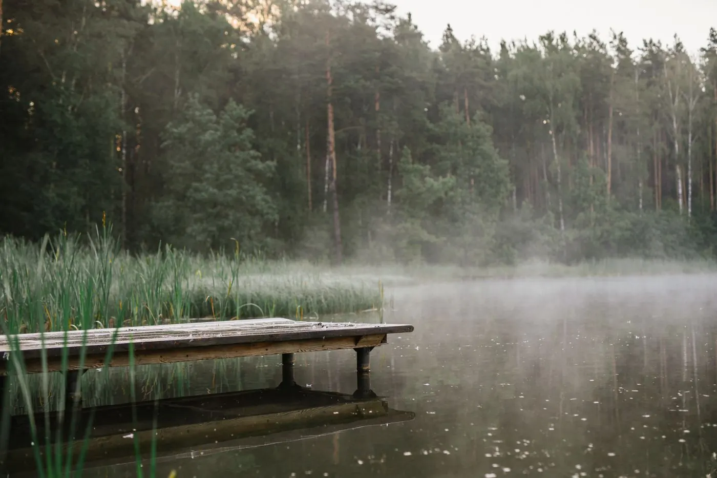 Lago en calma al amanecer